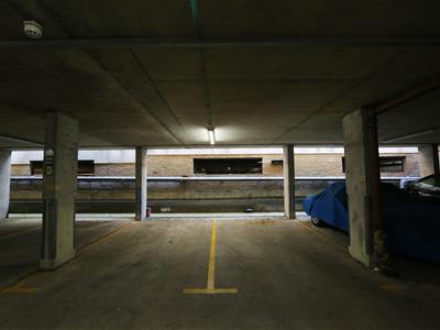 Picture 7
